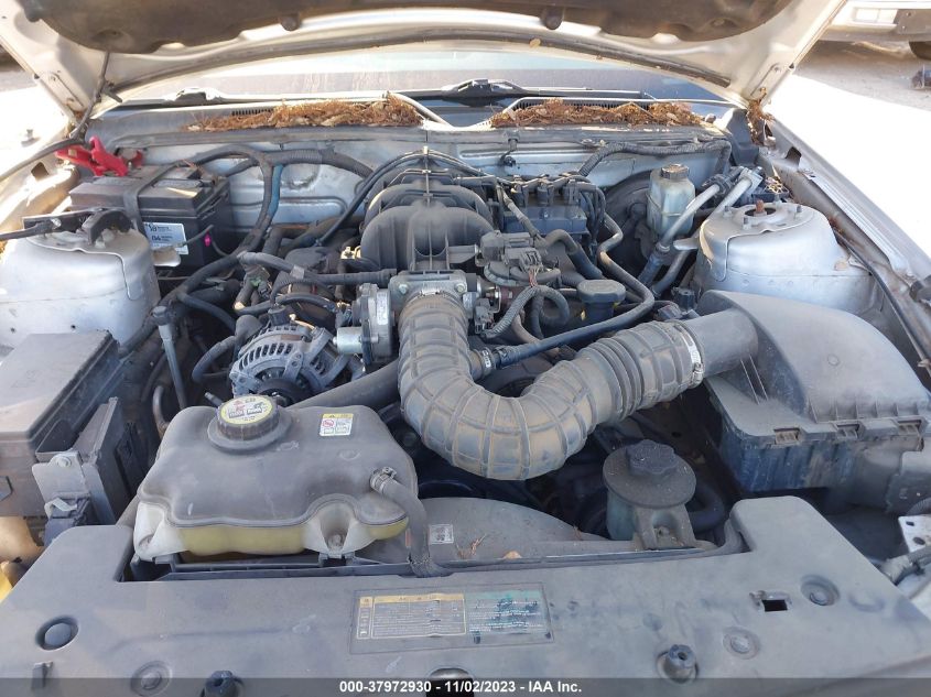 2009 Ford Mustang V6/V6 Premium VIN: 1ZVHT80N095121371 Lot: 37972930