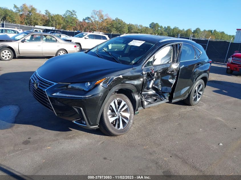 2021 Lexus Nx Nx 300 VIN: JTJGARDZ7M5031261 Lot: 37973083