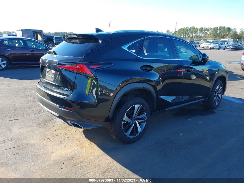 2021 Lexus Nx Nx 300 VIN: JTJGARDZ7M5031261 Lot: 37973083