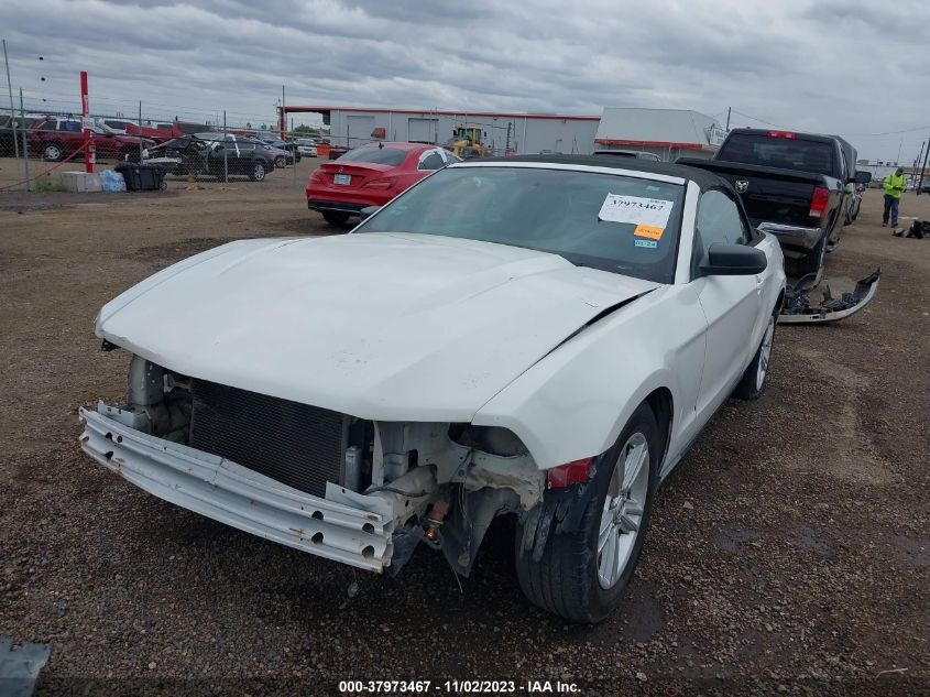 2010 Ford Mustang V6 VIN: 1ZVBP8EN1A5157450 Lot: 37973467