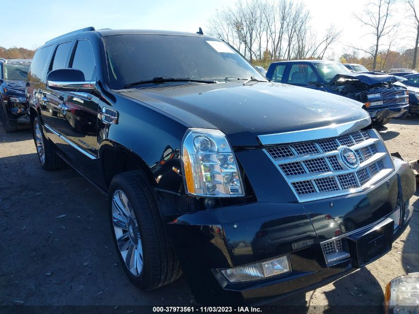 2010 Cadillac Escalade Esv Platinum Edition VIN: 1GYUKKEF8AR193798 Lot: 37973561