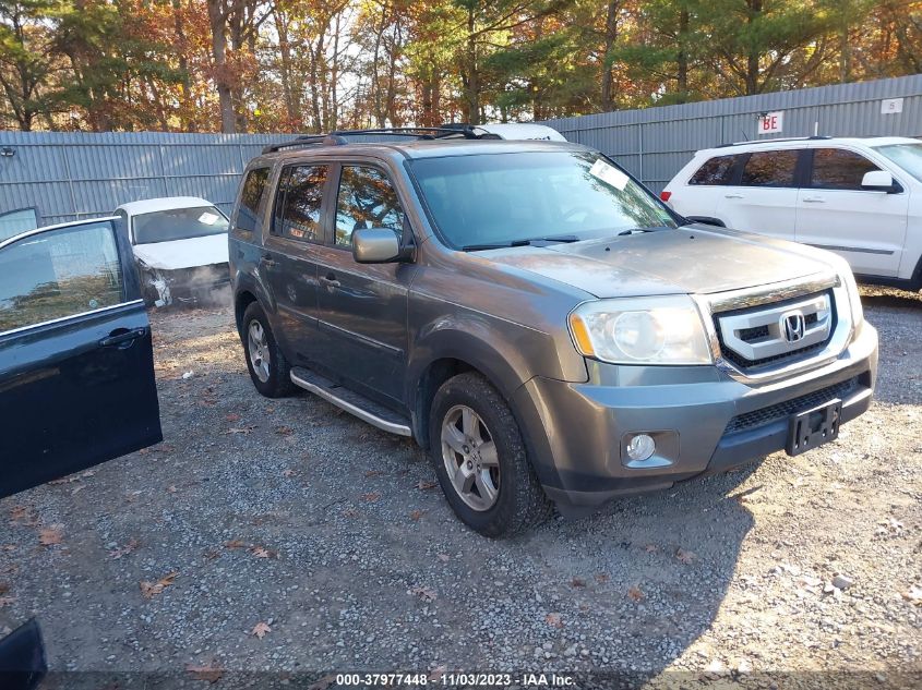 2009 Honda Pilot Ex-L VIN: 5FNYF48559B019974 Lot: 37977448