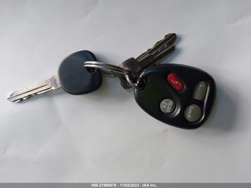 2003 Chevrolet Astro Passenger VIN: 1GNEL19X13B102846 Lot: 37980076