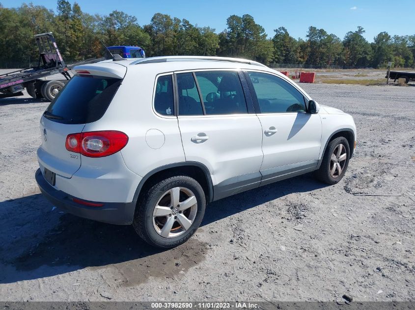 2010 Volkswagen Tiguan Wolfsburg Edition VIN: WVGAV7AX0AW002612 Lot: 37982590