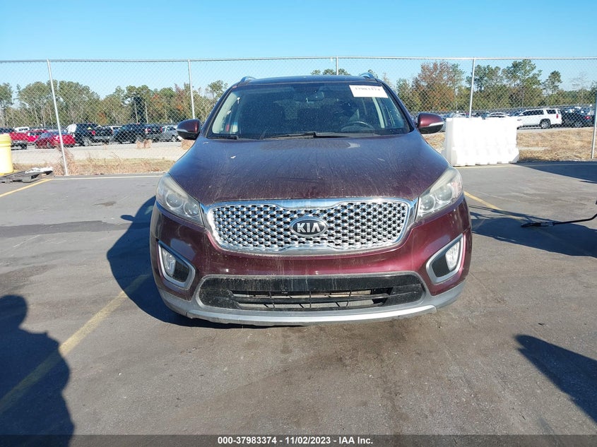 2016 Kia Sorento 3.3L Ex VIN: 5XYPH4A51GG123819 Lot: 37983374