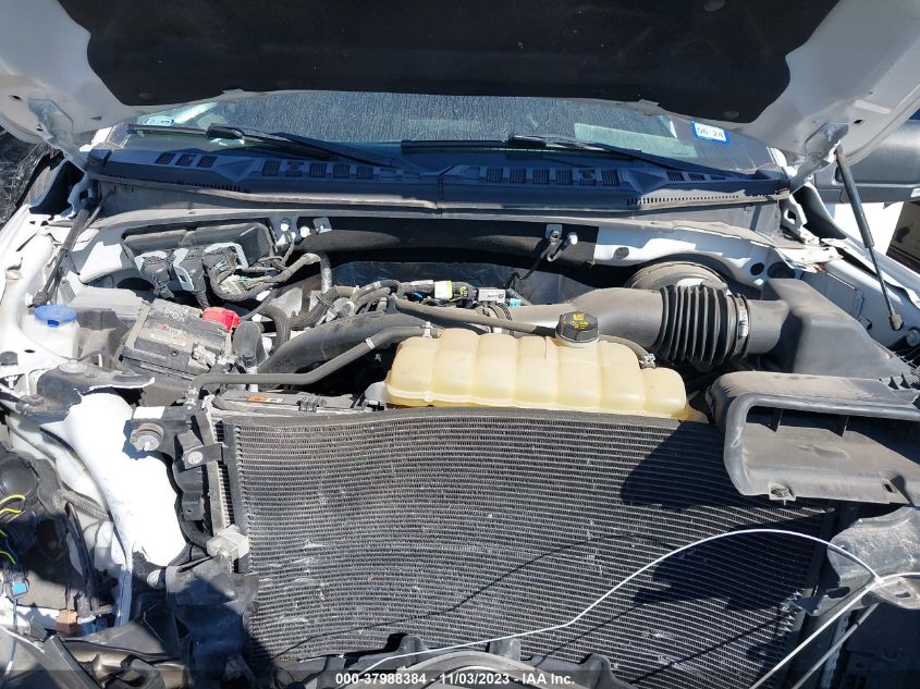 2019 Ford F-150 Xlt VIN: 1FTEW1CP0KKC79749 Lot: 37988384