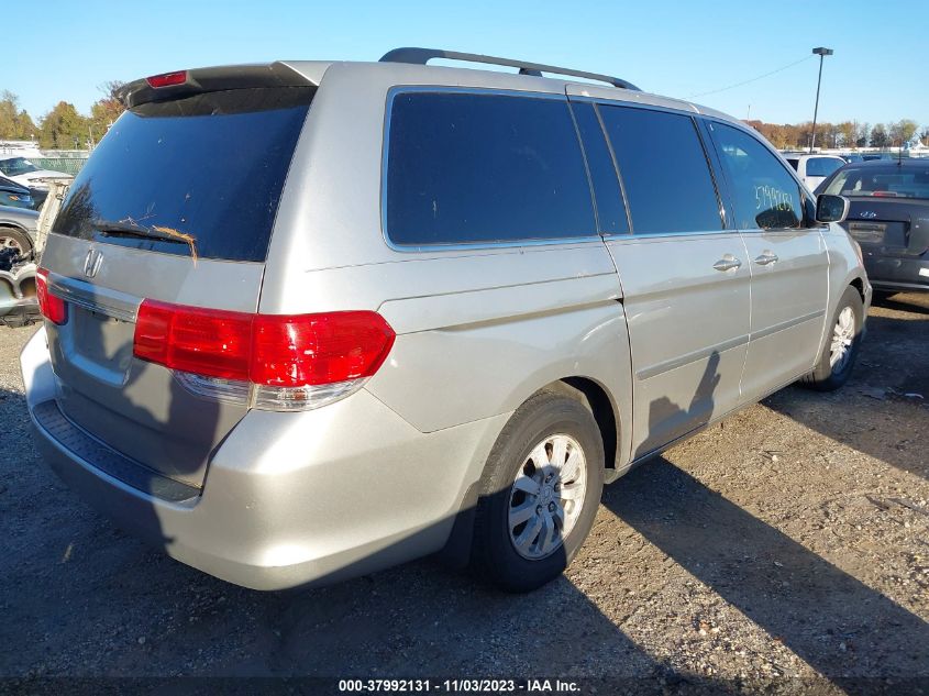 2008 Honda Odyssey Ex-L VIN: 5FNRL38768B091869 Lot: 37992131