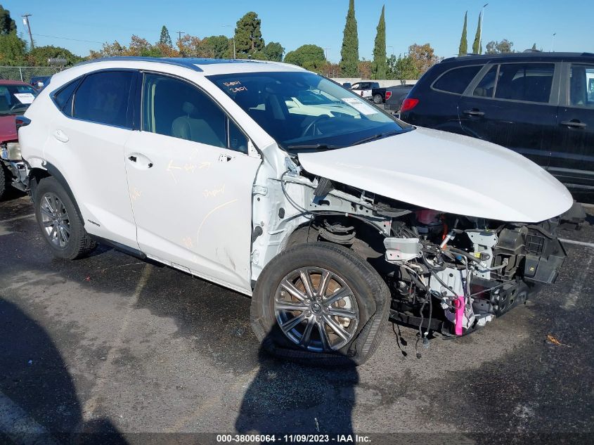 2020 Lexus Nx Nx 300H VIN: JTJDJRDZ1L5004641 Lot: 38006064