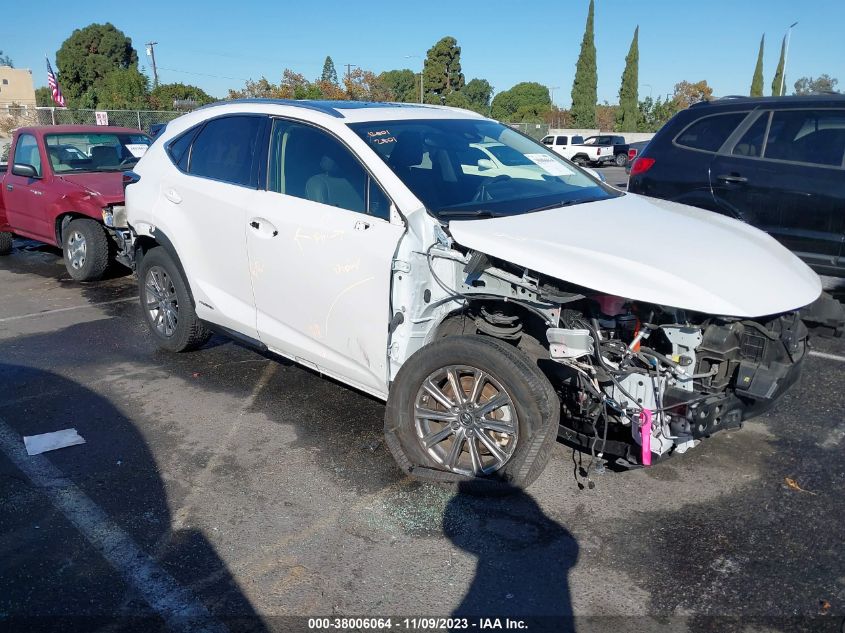 2020 Lexus Nx Nx 300H VIN: JTJDJRDZ1L5004641 Lot: 38006064