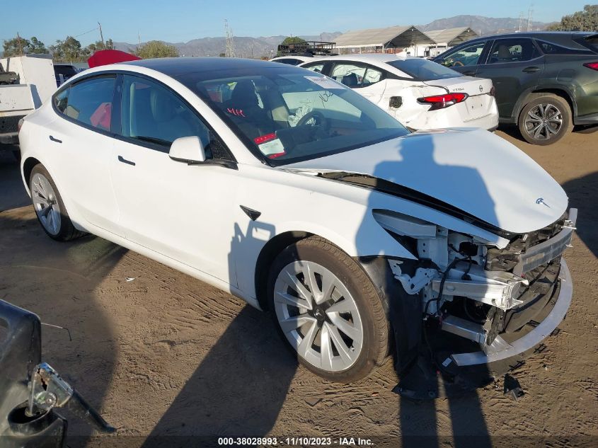 2023 Tesla Model 3 Rear-Wheel Drive VIN: 5YJ3E1EA4PF492128 Lot: 38028993