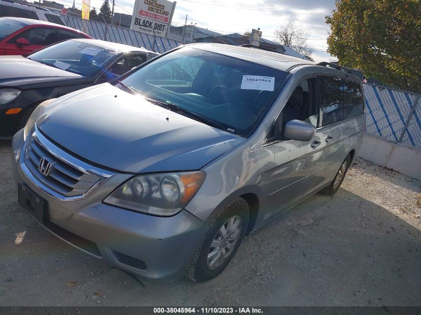 2008 Honda Odyssey Ex-L VIN: 5FNRL38638B035248 Lot: 38045964