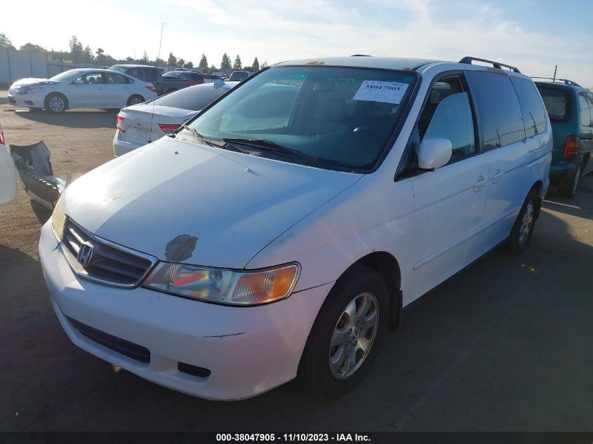 2003 Honda Odyssey Ex-L VIN: 5FNRL180X3B145643 Lot: 38047905