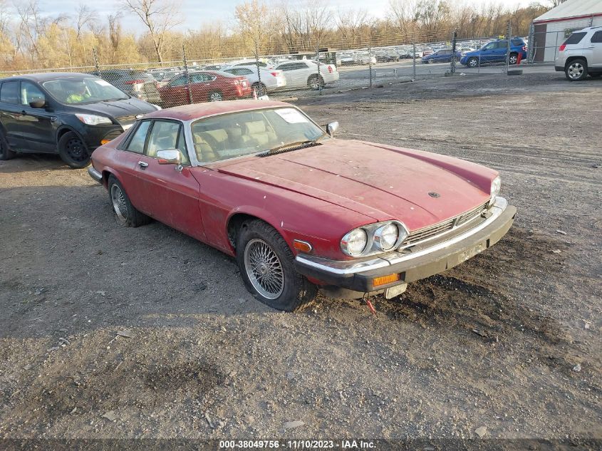 1988 Jaguar Xjs VIN: SAJNA5847JC143732 Lot: 38049756