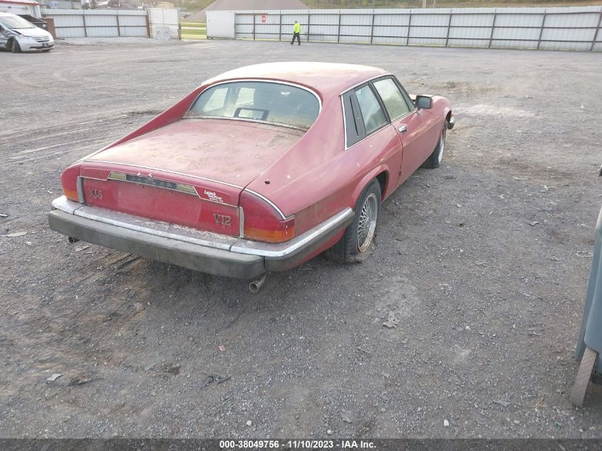 1988 Jaguar Xjs VIN: SAJNA5847JC143732 Lot: 38049756