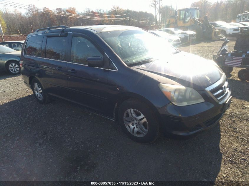 2005 Honda Odyssey Ex-L VIN: 5FNRL38615B099624 Lot: 38057835