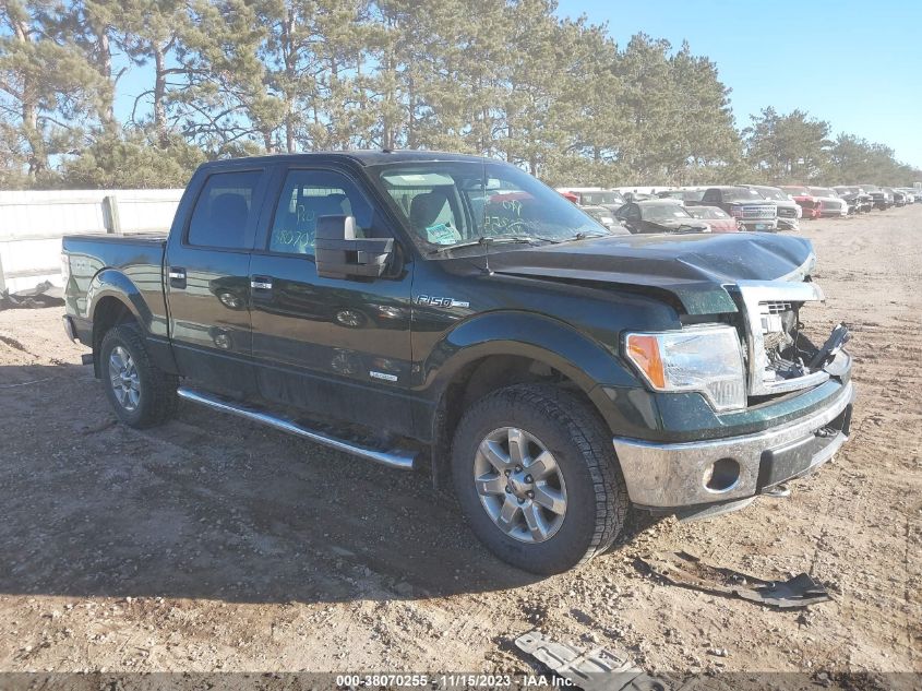 2014 Ford F-150 Xlt VIN: 1FTFW1ETXEKG58096 Lot: 38070255