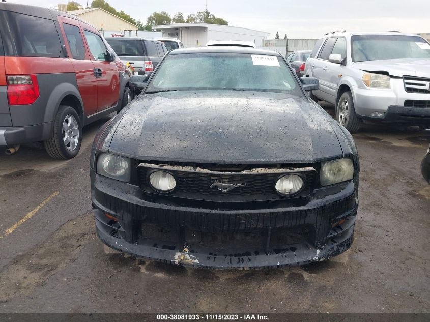 2006 Ford Mustang Gt VIN: 1ZVFT82H065257638 Lot: 40384311