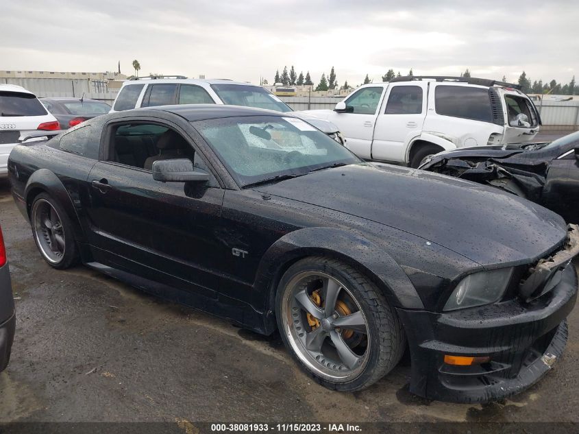 2006 Ford Mustang Gt VIN: 1ZVFT82H065257638 Lot: 40384311