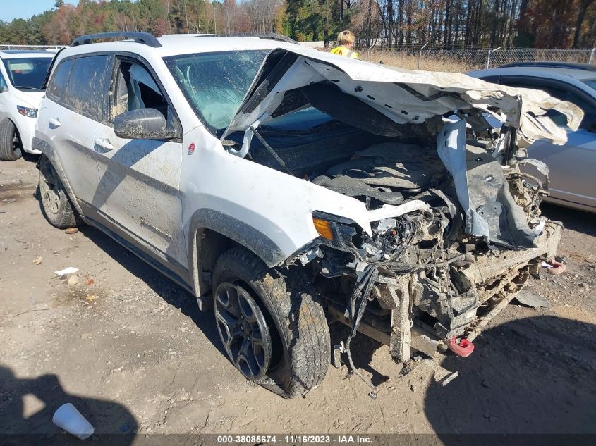 2019 Jeep Cherokee Trailhawk 4X4 VIN: 1C4PJMBX0KD288739 Lot: 38085674