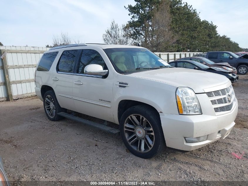 1GYS4CEF4DR143217 2013 Cadillac Escalade Premium