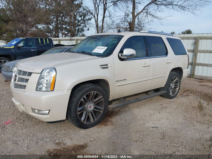 2013 Cadillac Escalade Premium VIN: 1GYS4CEF4DR143217 Lot: 38094084