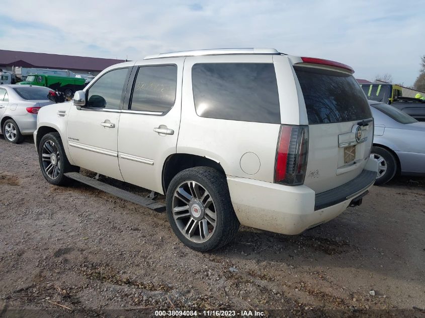 2013 Cadillac Escalade Premium VIN: 1GYS4CEF4DR143217 Lot: 38094084