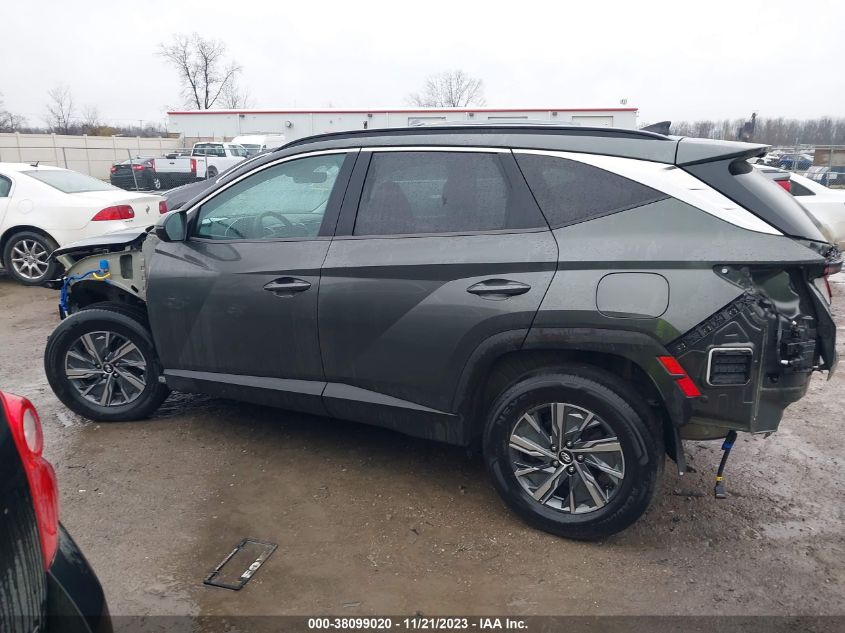 2022 Hyundai Tucson Hybrid Blue VIN: KM8JBCA1XNU013499 Lot: 38099020