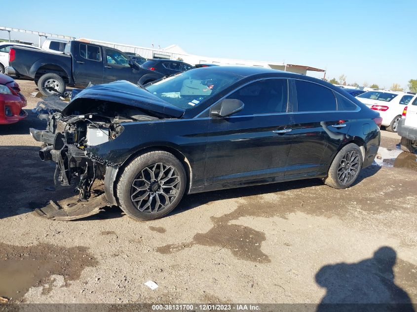 2019 Hyundai Sonata Sel VIN: 5NPE34AF4KH795504 Lot: 38131700