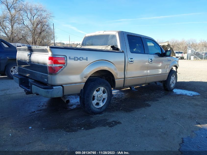 2014 Ford F-150 Xlt VIN: 1FTFW1EF8EKF58010 Lot: 38134765