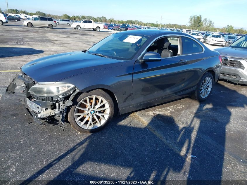 2014 BMW 228I VIN: WBA1F5C59EV246270 Lot: 38135258