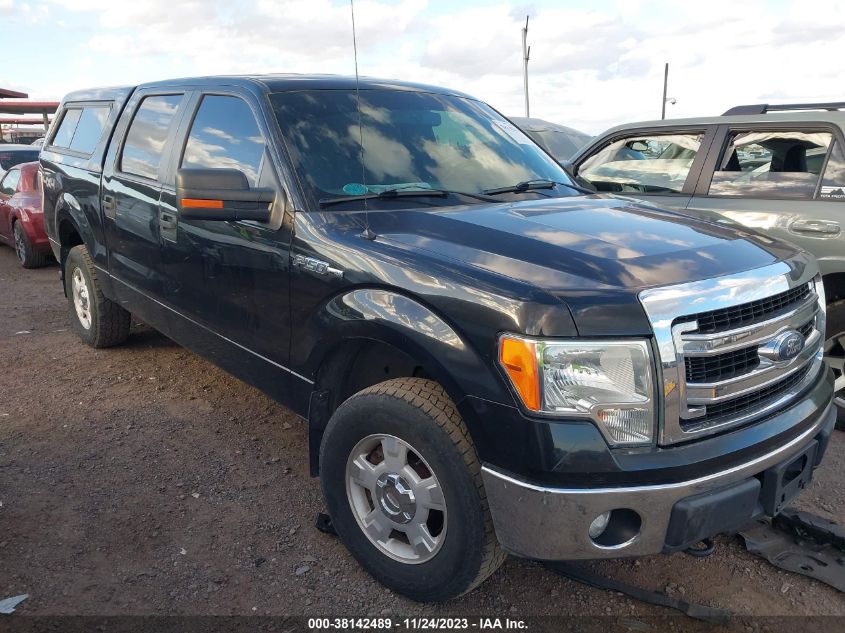 1FTFW1EF3DFC66384 2013 Ford F-150 Xlt