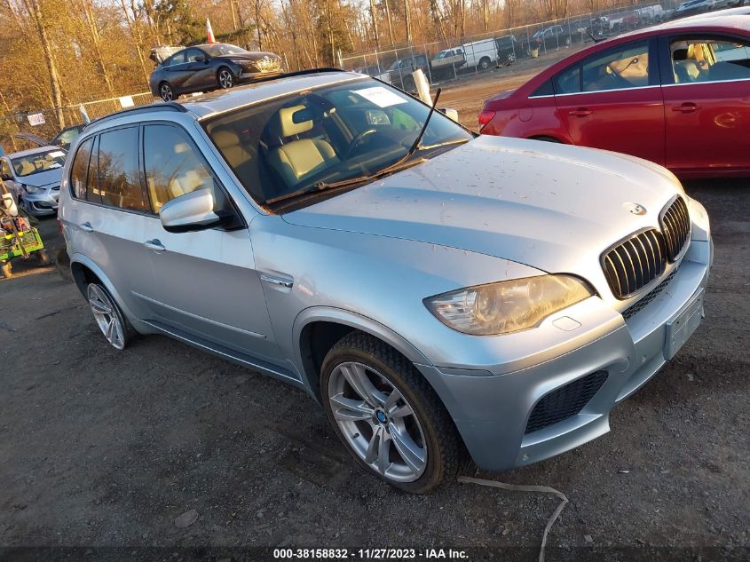 5YMGY0C56ALK25139 2010 BMW X5 M