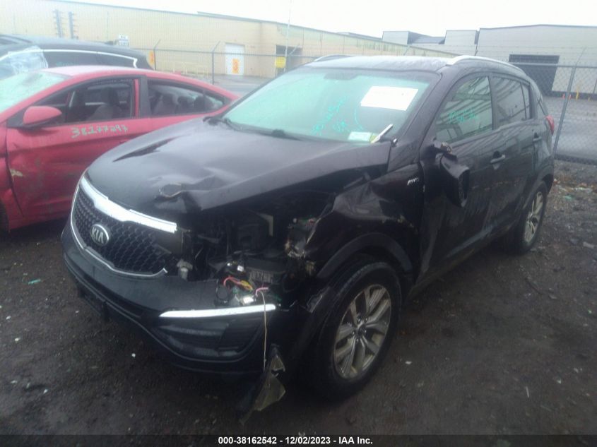 2015 Kia Sportage Lx VIN: KNDPBCAC9F7771379 Lot: 38162542