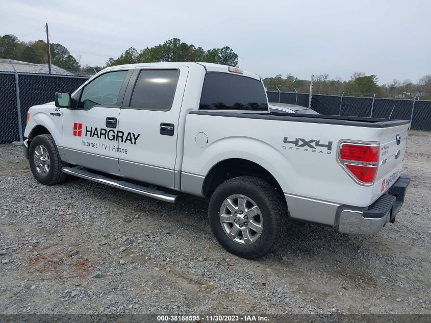 1FTFW1EF4DKD19262 2013 Ford F-150 Xlt