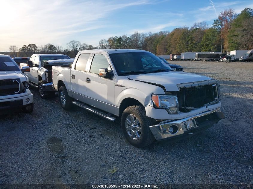 1FTFW1EF4DKD19262 2013 Ford F-150 Xlt