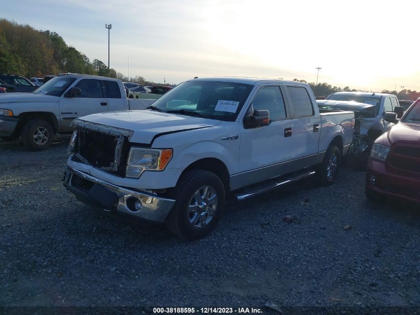 1FTFW1EF4DKD19262 2013 Ford F-150 Xlt