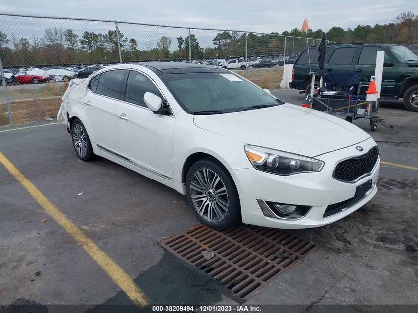 2015 Kia Cadenza Premium VIN: KNALN4D70F5181784 Lot: 38209494