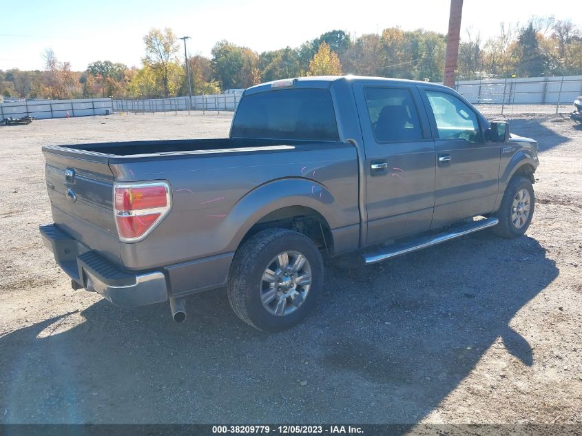 1FTEW1C85AFD39251 2010 Ford F-150 Xlt