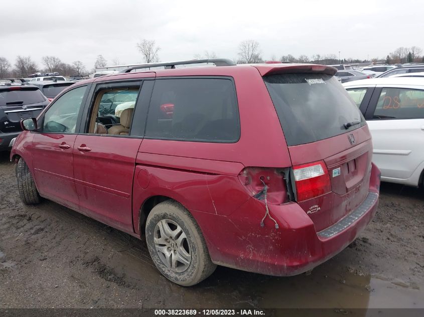 2005 Honda Odyssey Ex-L VIN: 5FNRL38765B124347 Lot: 38223689