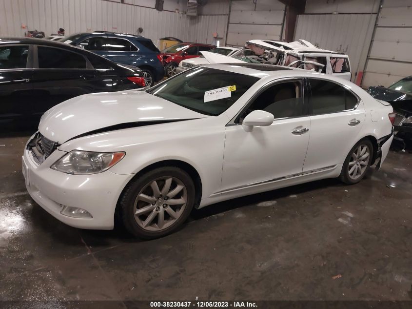 2008 Lexus Ls 460 Base (A8) VIN: JTHBL46FX85080746 Lot: 38230437