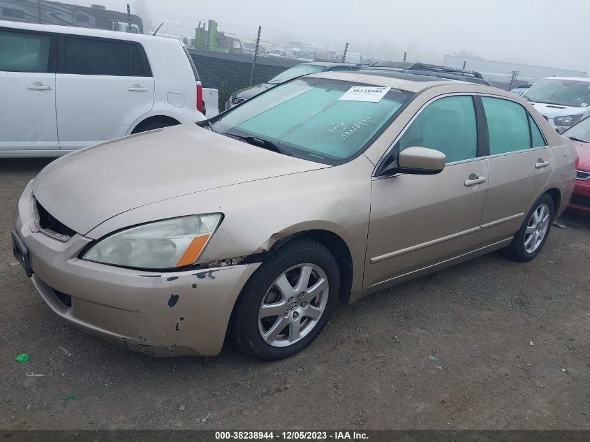 2005 Honda Accord 3.0 Ex VIN: 1HGCM66565A021199 Lot: 38238944