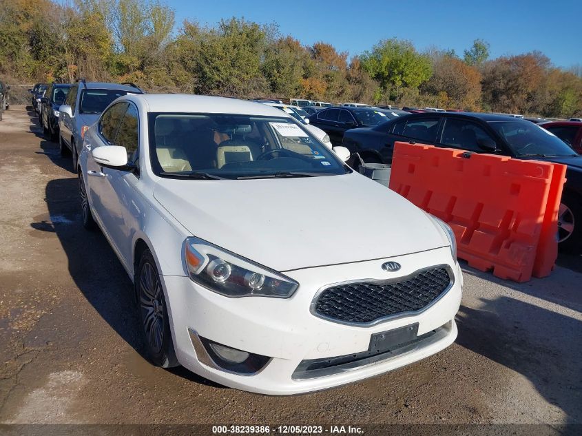 2014 Kia Cadenza Premium VIN: KNALN4D79E5148572 Lot: 38239386