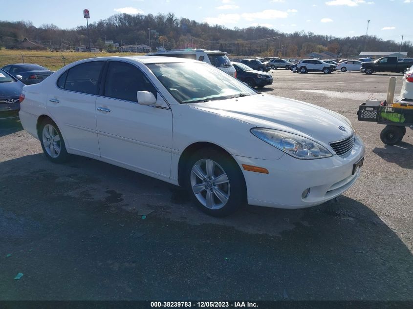 2005 Lexus Es 330 VIN: JTHBA30G955079052 Lot: 38239783