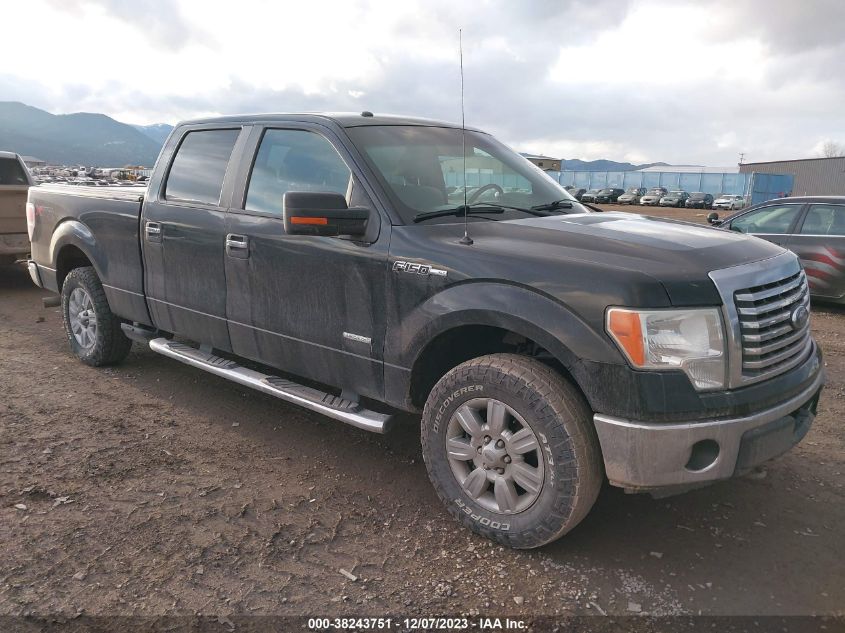 2011 Ford F-150 Xlt VIN: 1FTFW1ET0BFC41641 Lot: 38243751