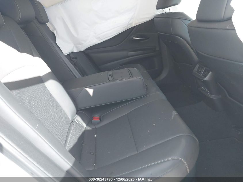 2019 Lexus Es 300H VIN: JTHB21B13K2023096 Lot: 38243790