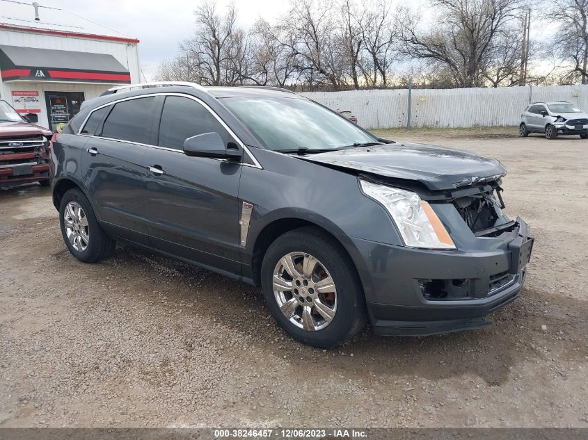 2010 Cadillac Srx Luxury Collection VIN: 3GYFNDEY3AS501857 Lot: 38491057