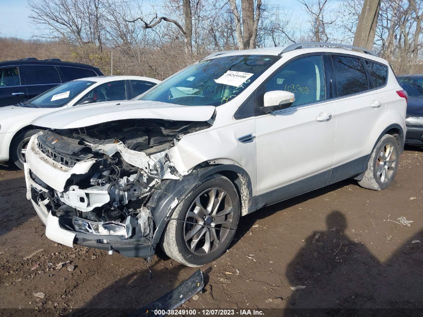 2015 Ford Escape Titanium VIN: 1FMCU0J97FUB17490 Lot: 38249100