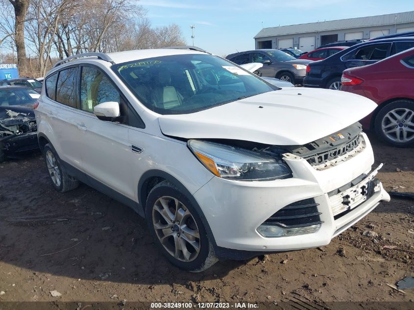 2015 Ford Escape Titanium VIN: 1FMCU0J97FUB17490 Lot: 38249100