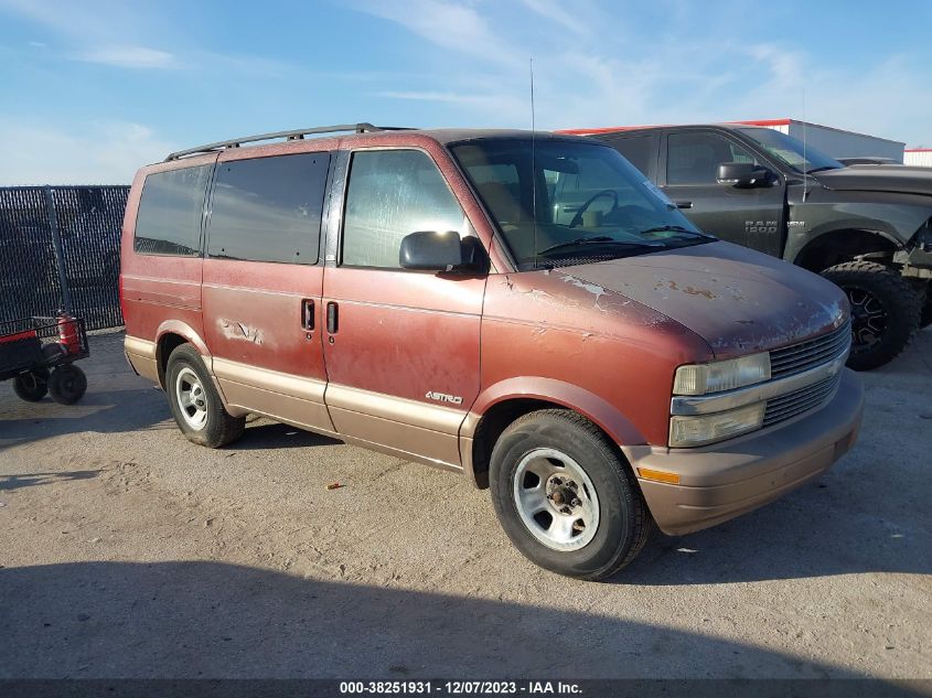 1998 Chevrolet Astro Passenger VIN: 1GNDM19W0WB110618 Lot: 38251931