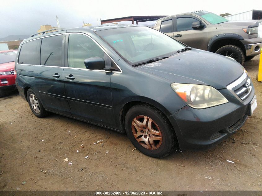 2005 Honda Odyssey Ex-L VIN: 5FNRL38735B130381 Lot: 38252409